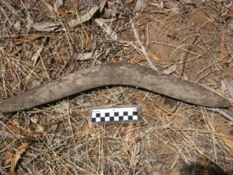 Aboriginal Heritage image - boomerang.jpg