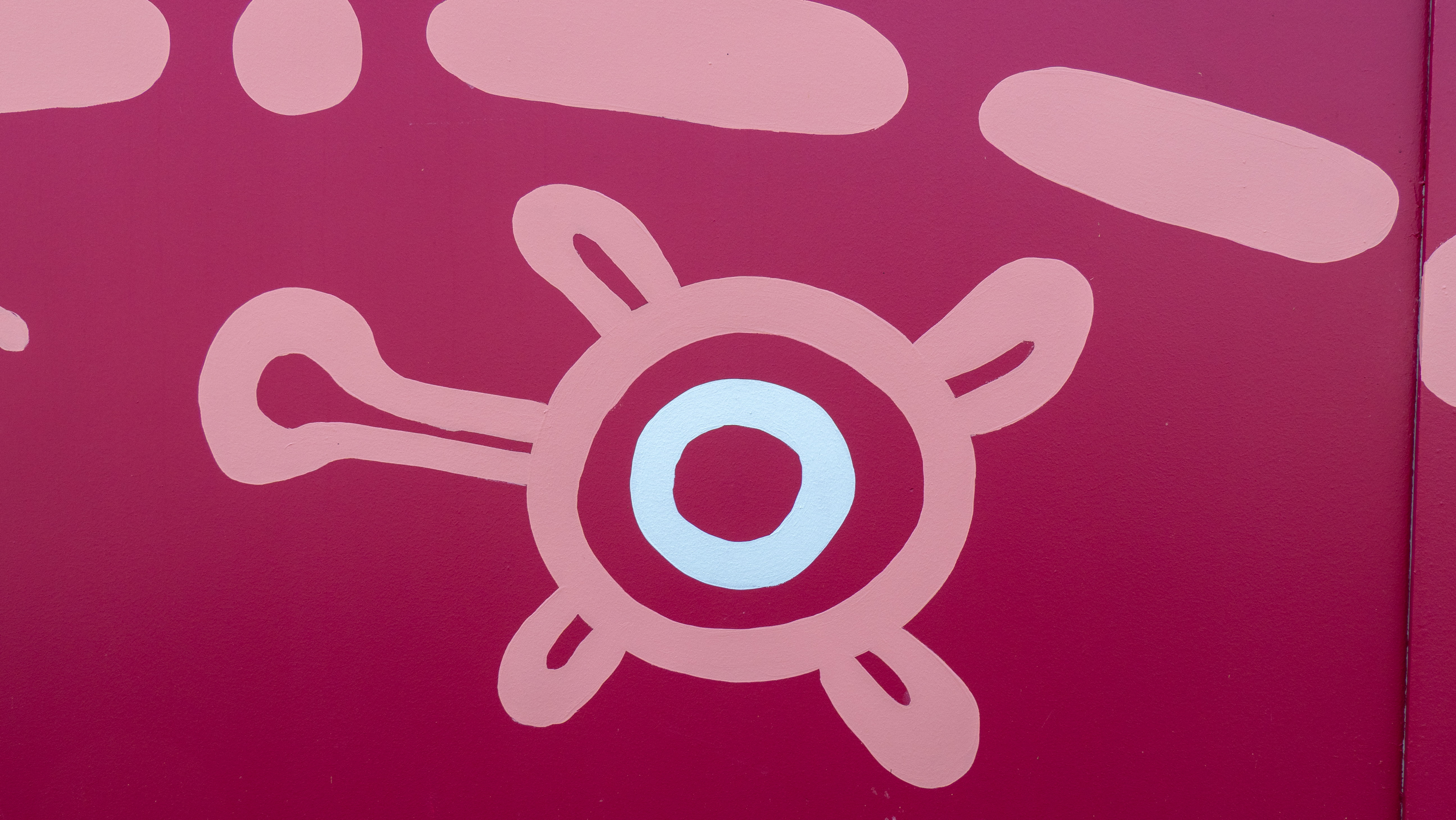 Djiridji Bidi Oblong Turtle Symbol