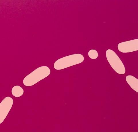 Travel pathways art on the Djiridji Bidi art