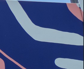 Kylies on the Djiridji Bidi art