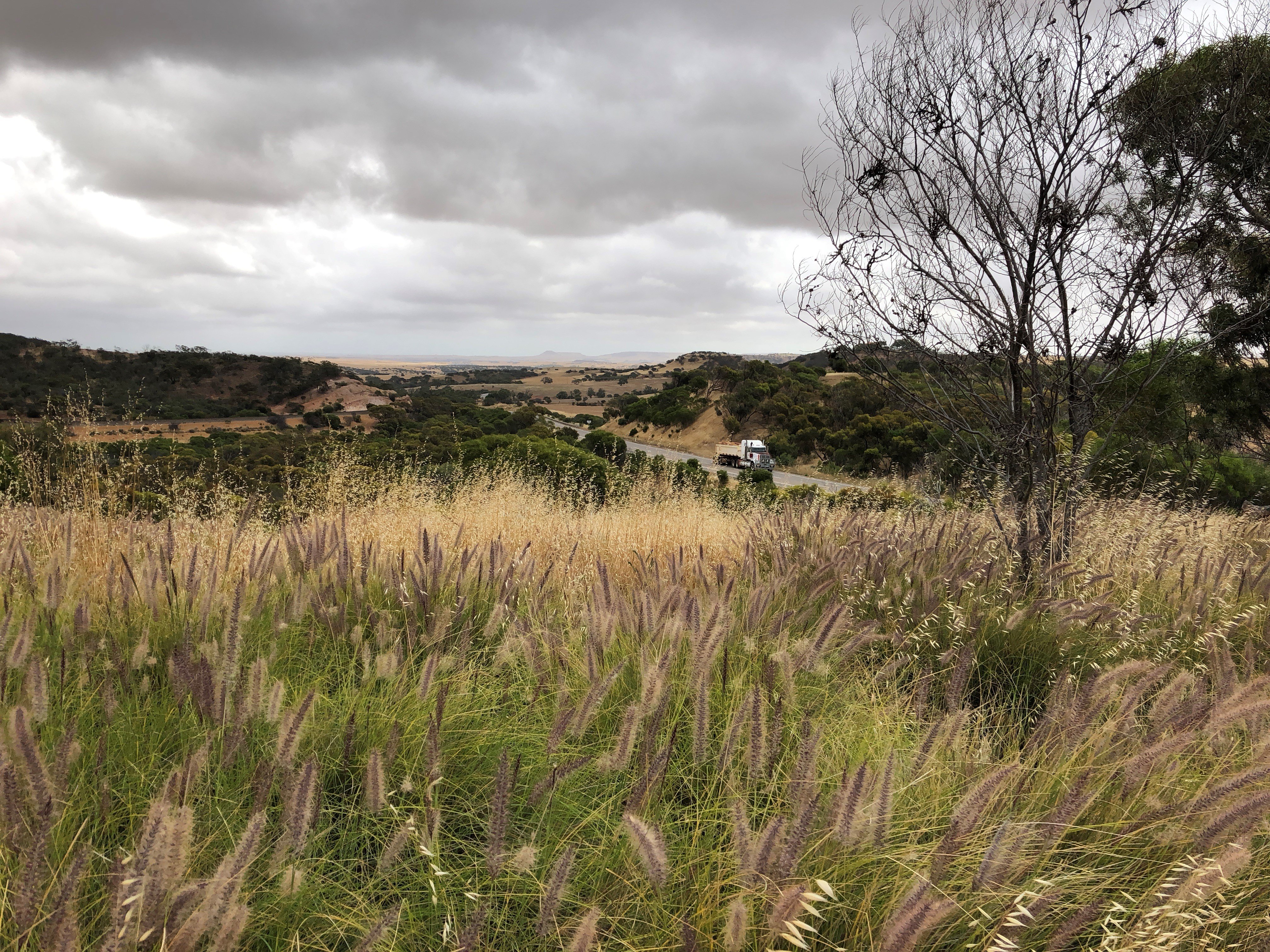 Climate change and resilience