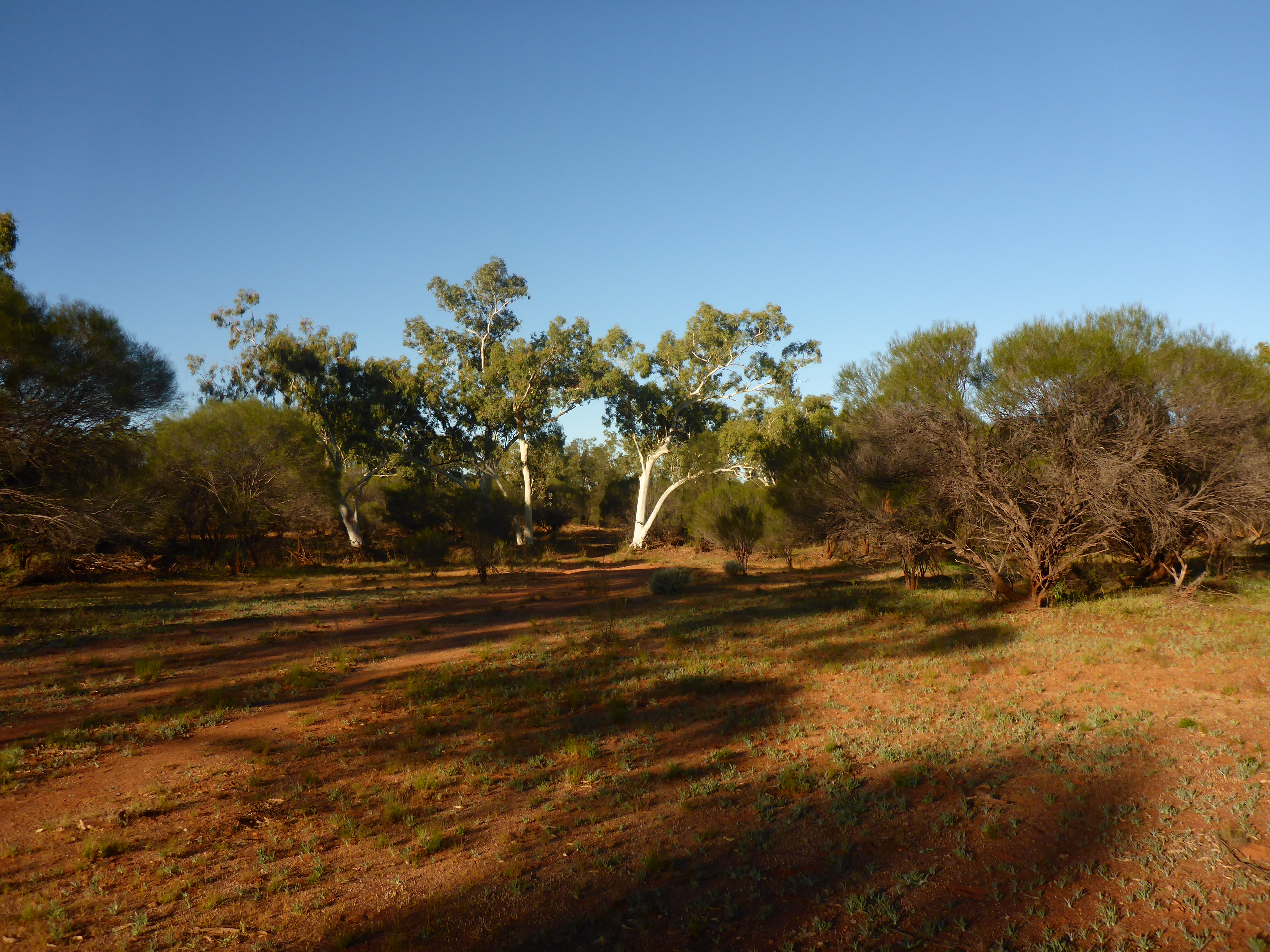 Goldfields Highway Wiluna to Meekatharra Package 2