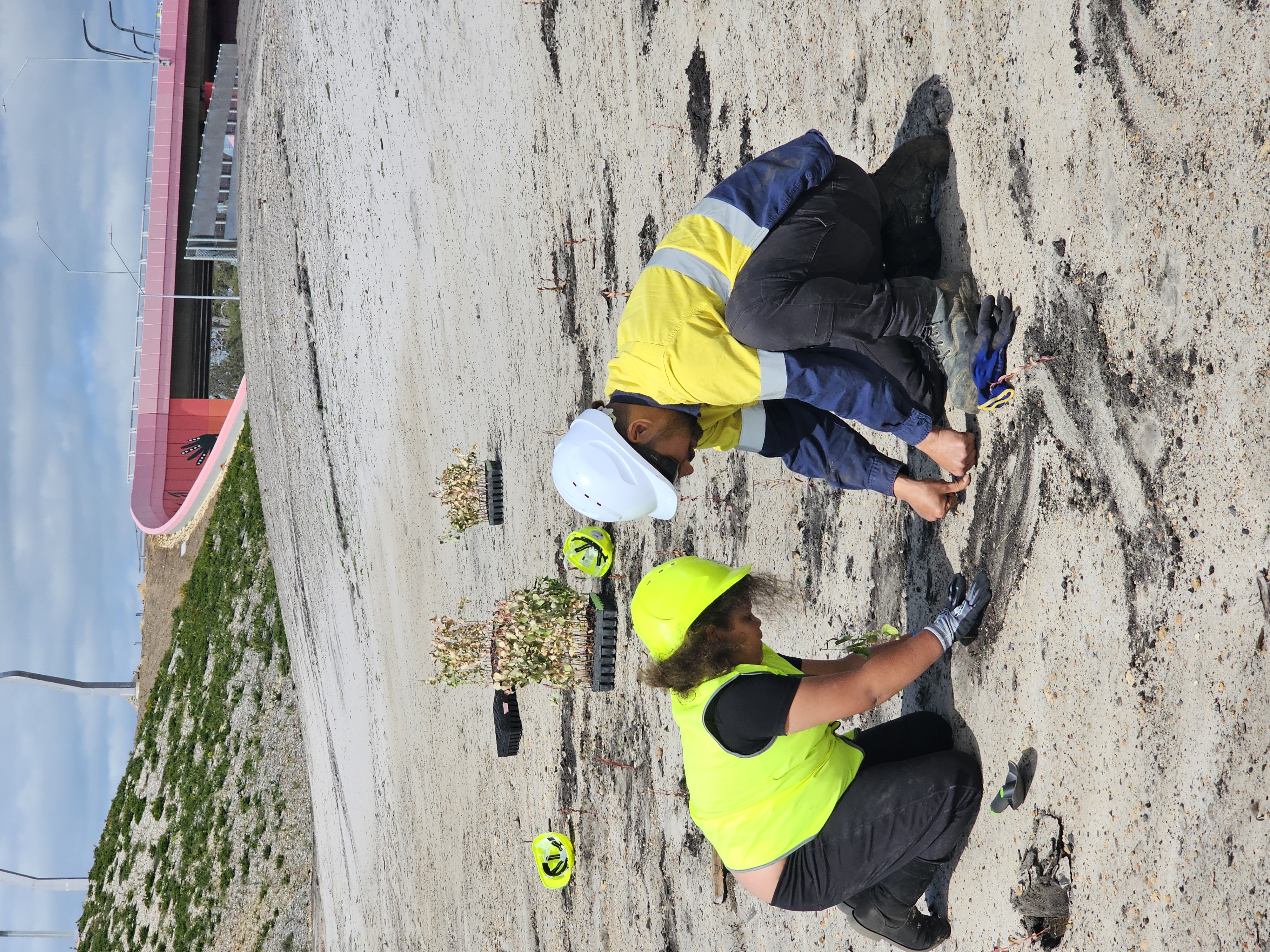 Students planting on site