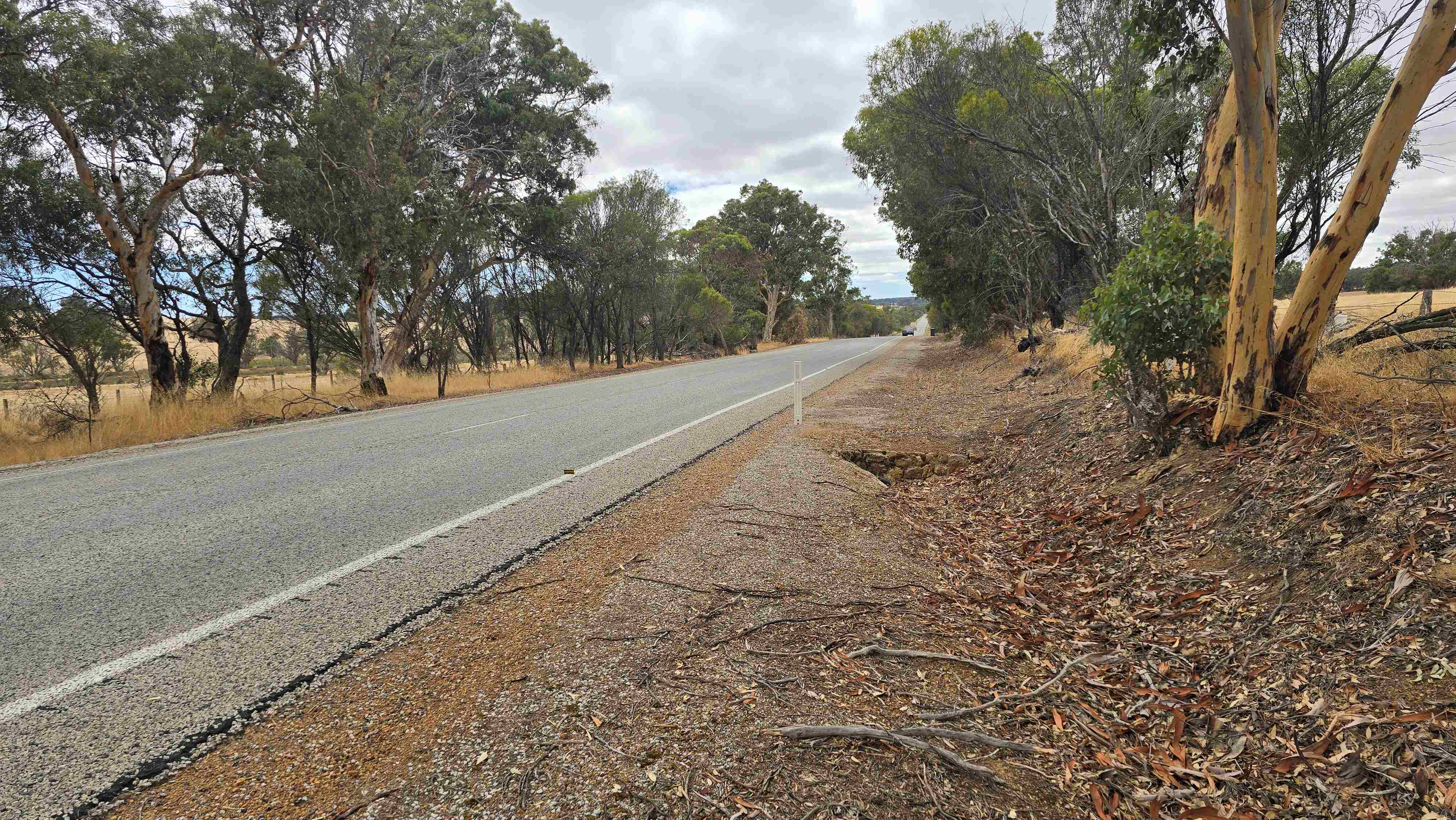 Collie Lake King Road SLK 90 &ndash; 94 Westbound Climbing Lane image