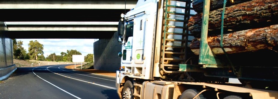 Truck with logs on it