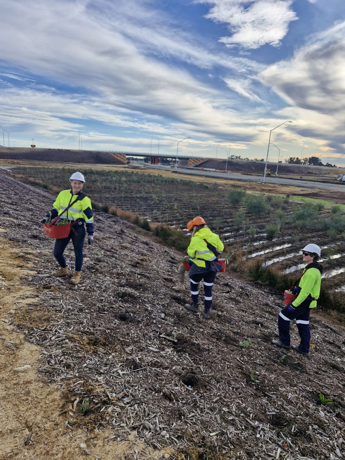 BORR 230724 - BORR Team Planting
