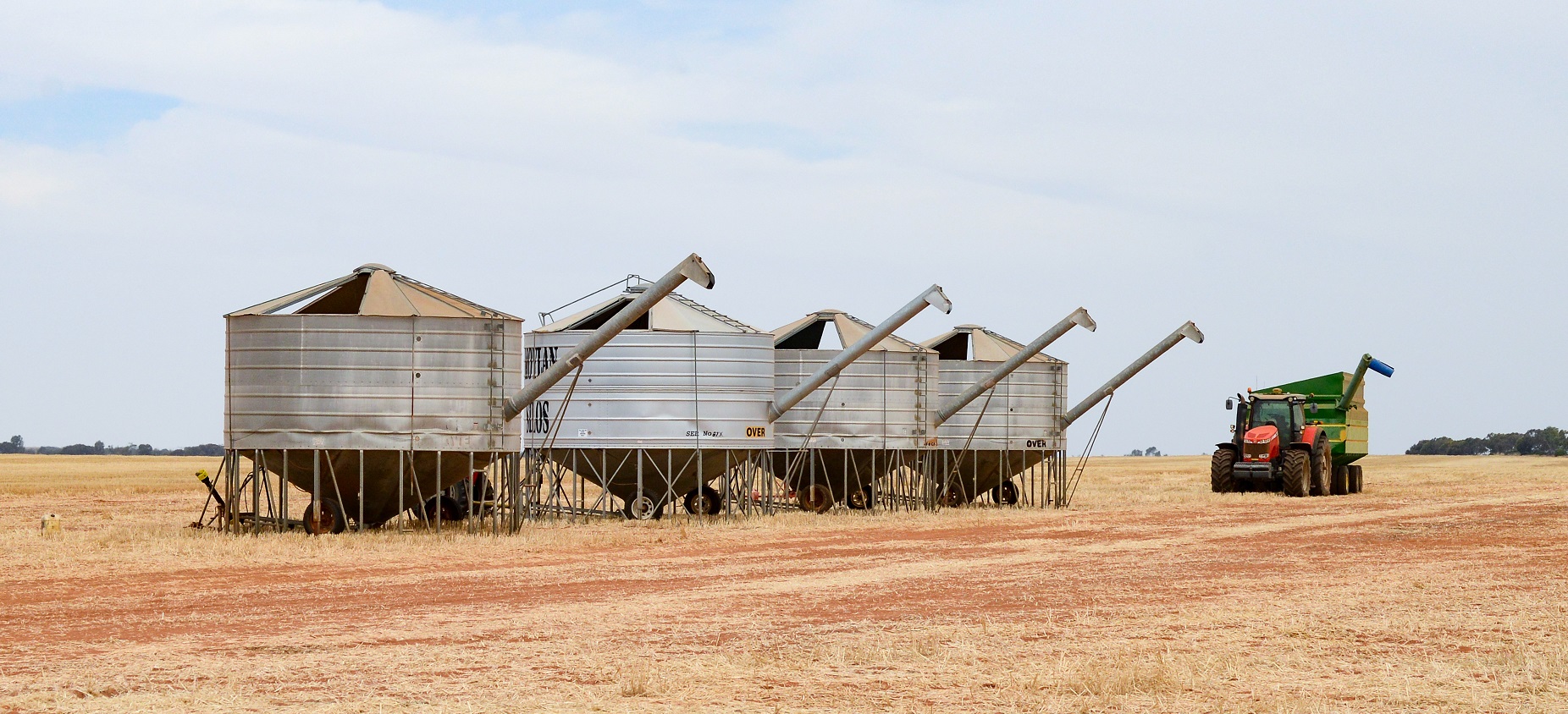 Crops field