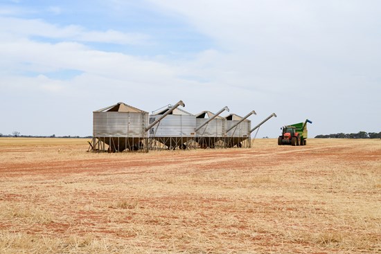 Regional communities benefit from forfeited grain