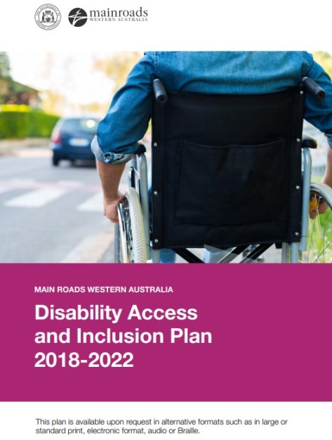 Disability Action and Inclusion Plan preview image.jpg