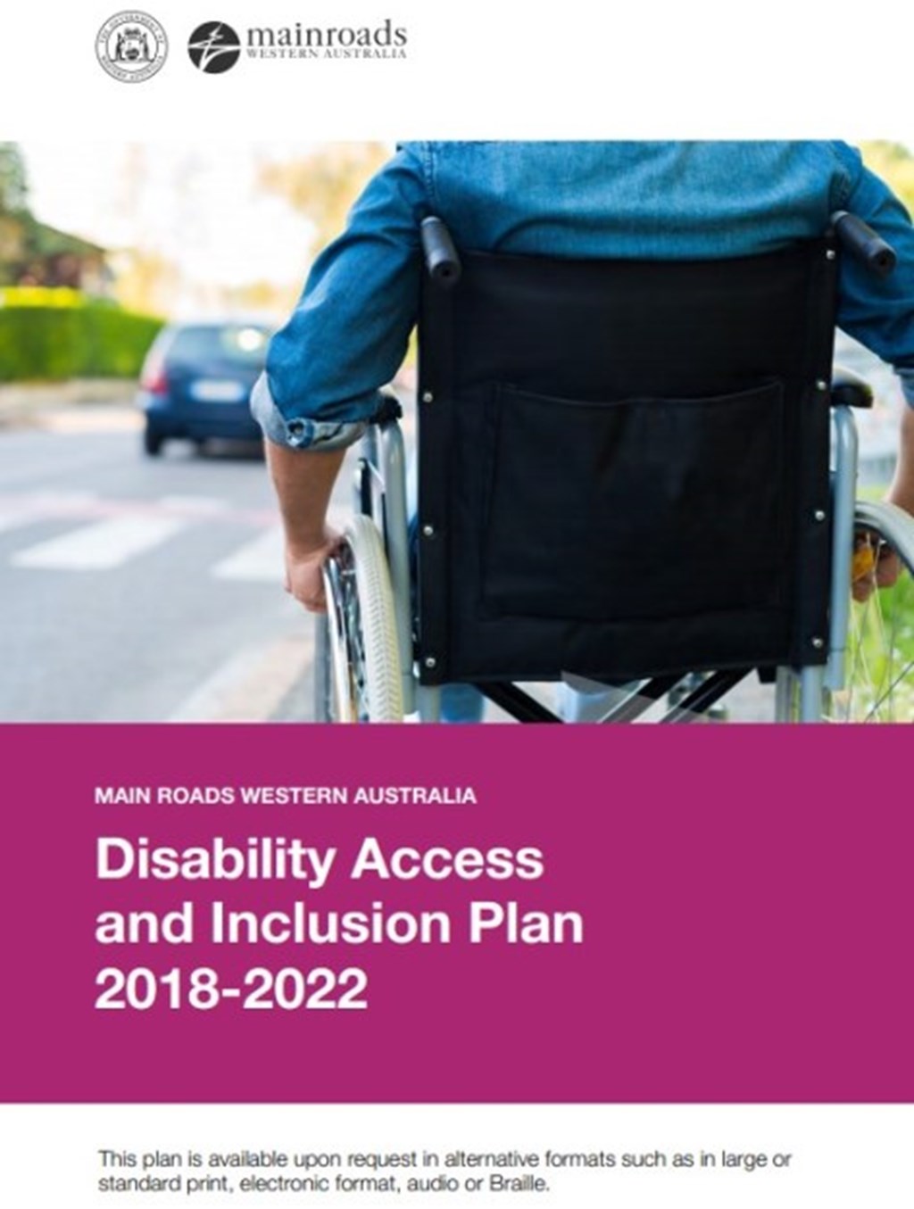 Disability Access and Inclusion Plan preview image