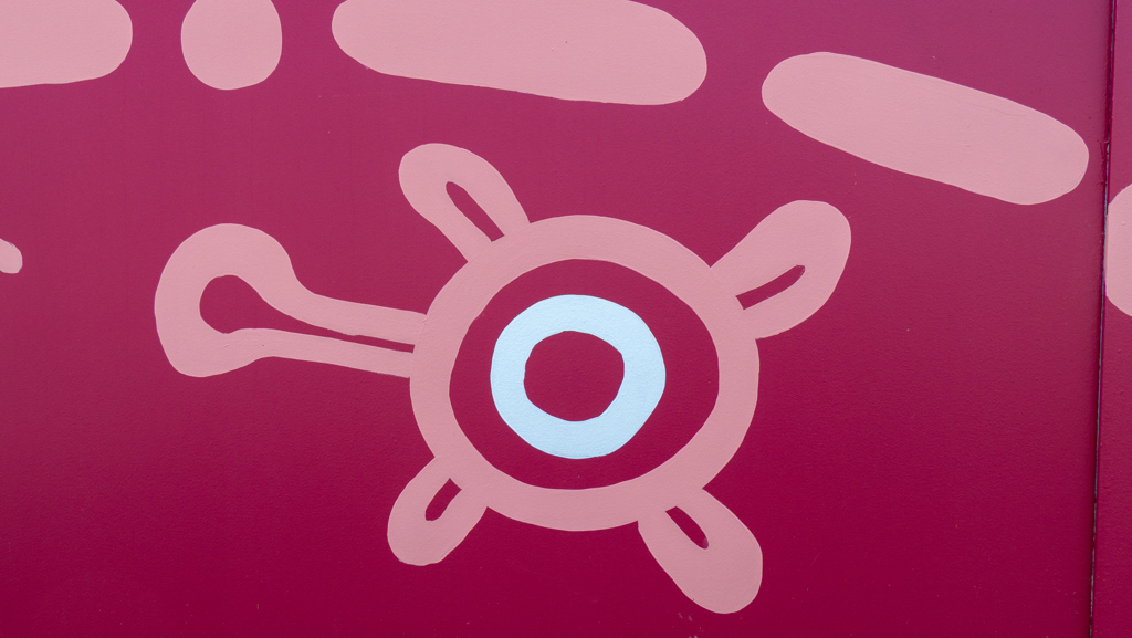 Djiridji Bidi Oblong Turtle Symbol