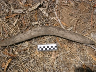 Aboriginal Heritage image - boomerang.jpg