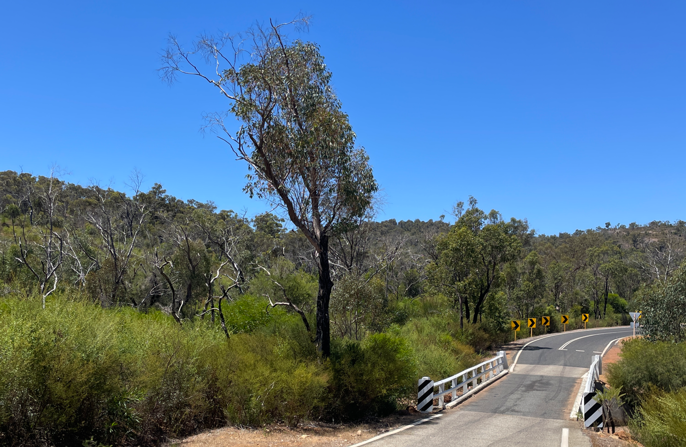 Proposed clearing image for 3615 - Bridge 4482 - Replacement Works