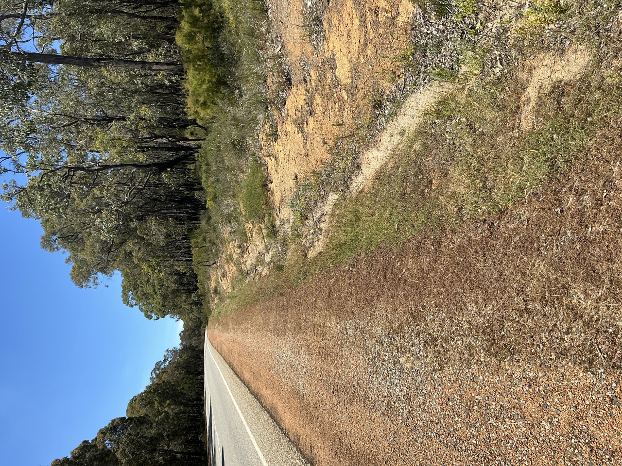 Albany Highway passing lane proposed clearing image