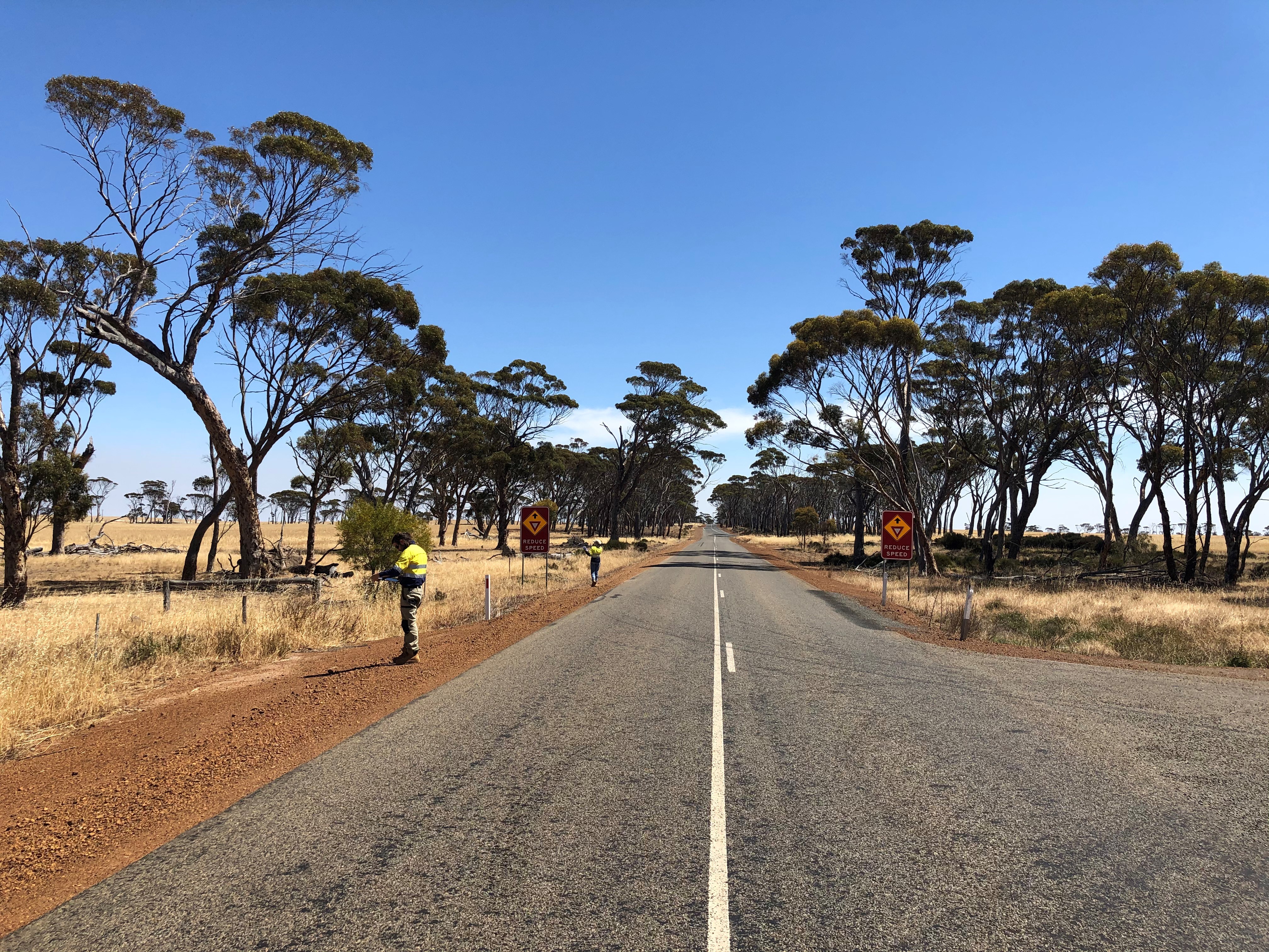 Two workers on the side of a regional road