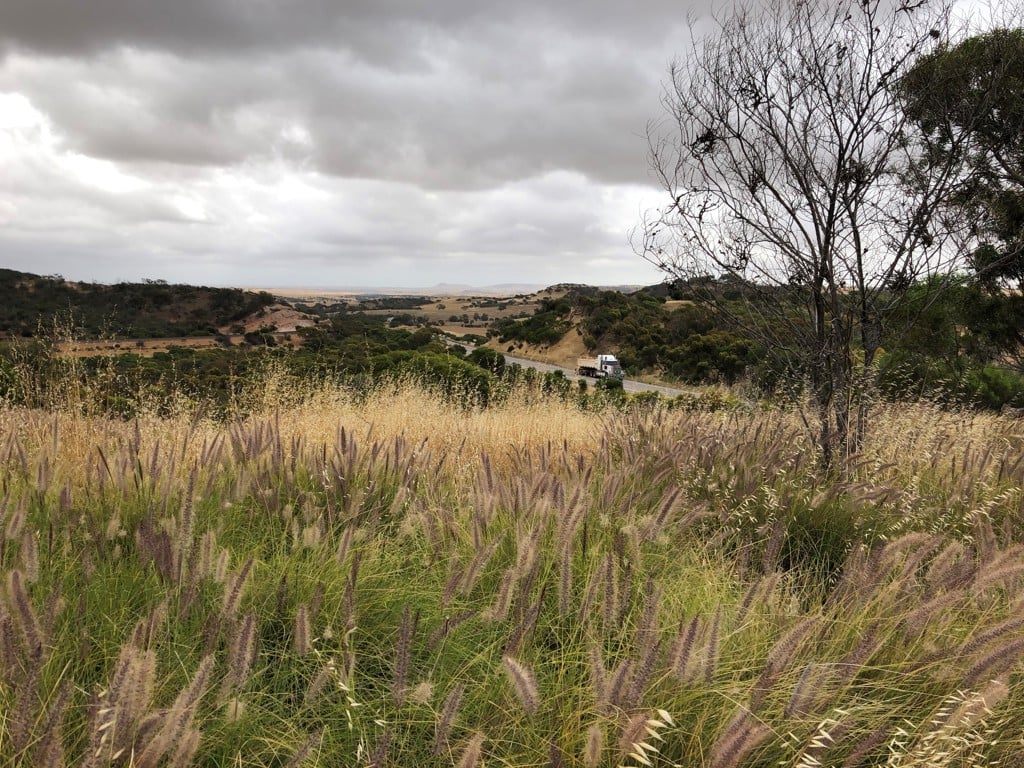 Climate change and resilience