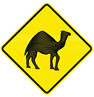 Diamond sign - Camel