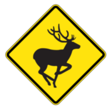 Diamond sign - Deer