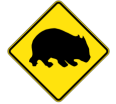 Diamond sign - Wombat