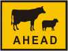 Stock Ahead
