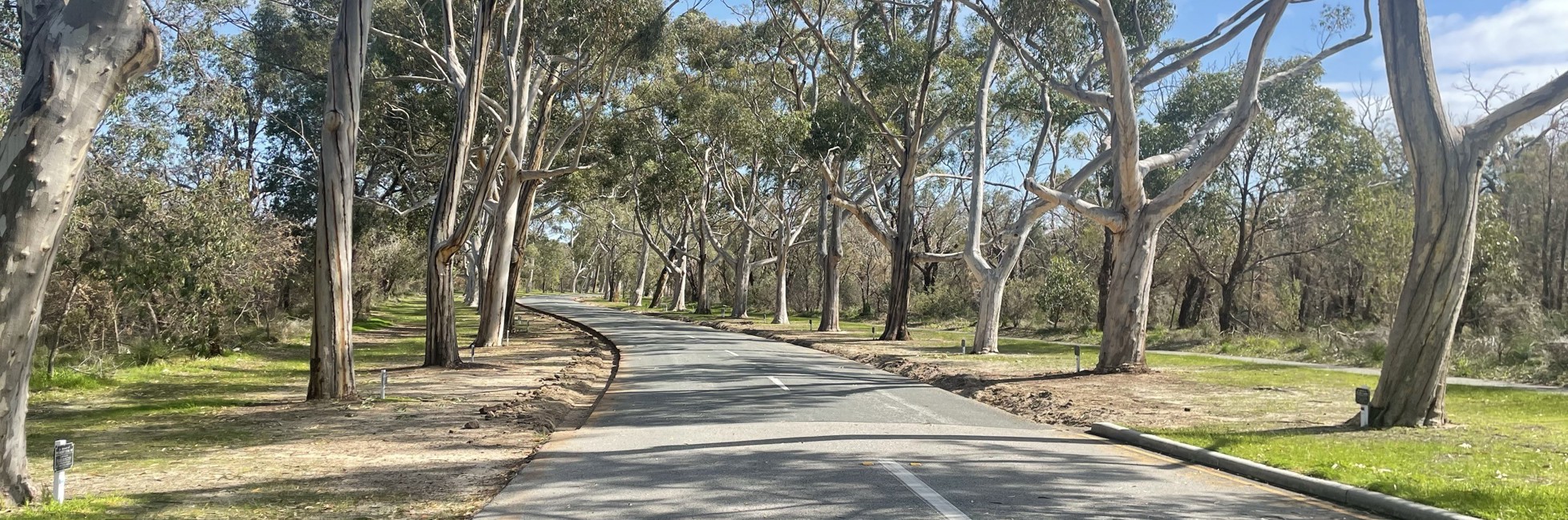 Kings Park Resurfacing <em>and Road Shoulder Project</em>