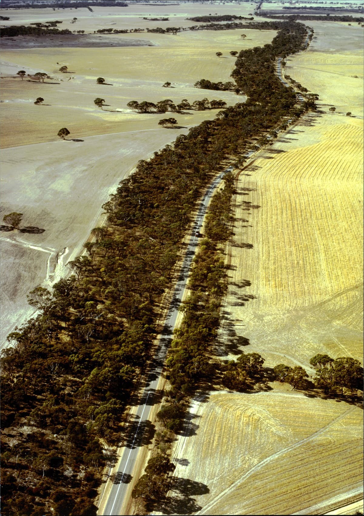 York-Merredin Road near Mawson