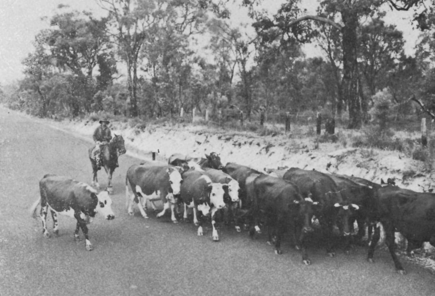 Old Coast Road near Australind