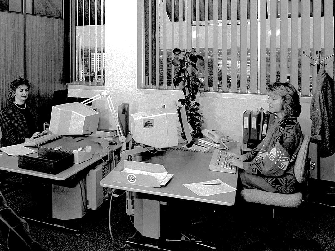 Office staff at head office using computers for word processing